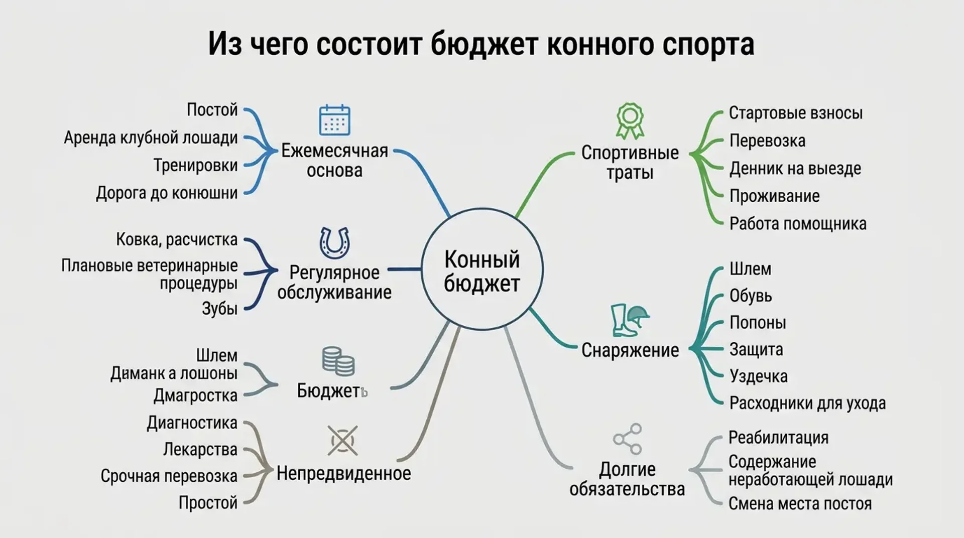 Из чего состоит бюджет конного спорта